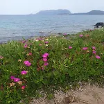 Del Golfo Будинок відпочинку Ольбія