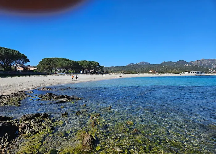 別荘 Del Golfo オルビア