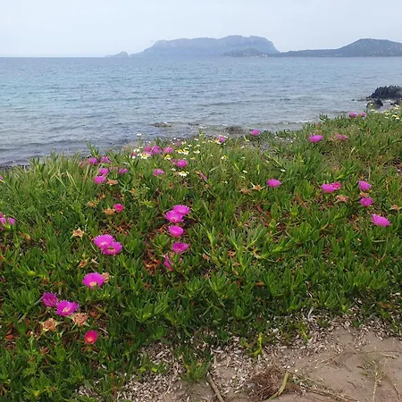 Del Golfo Casa vacanze Olbia