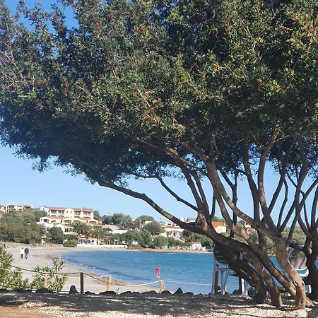 Del Golfo * Pittulongu