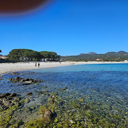 Casa vacanze Del Golfo Olbia