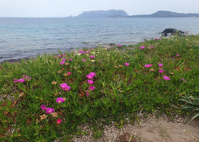 Del Golfo Casa vacanze Olbia